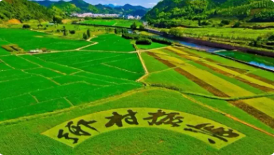 数字经济正在与乡村旅游深度融合