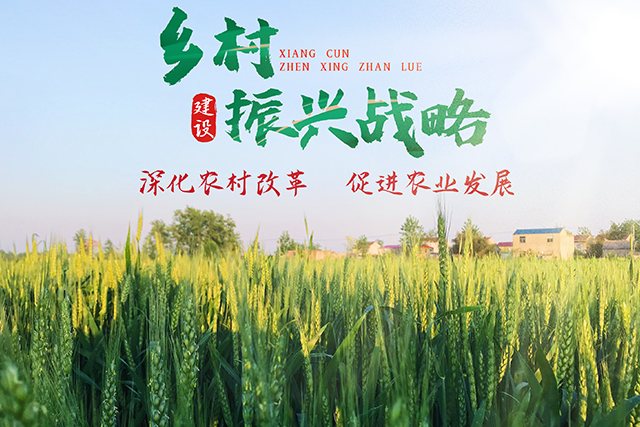 加快全面推进乡村振兴