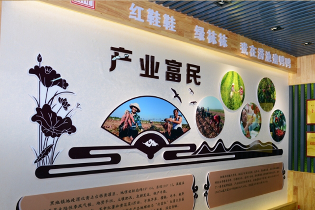 安徽：“六招”推动乡村生态振兴