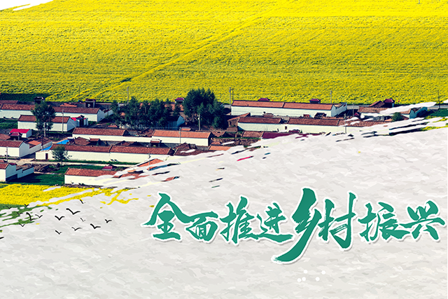 两部门：2022年组织创建100个左右国家乡村振兴示范县