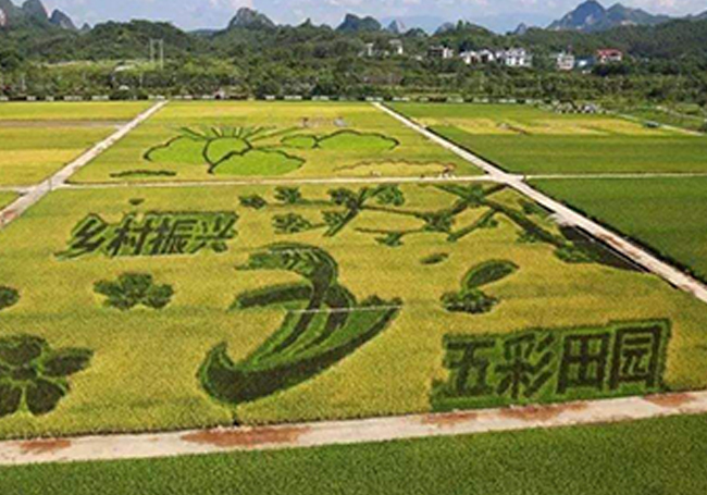 乡村旅游的方向