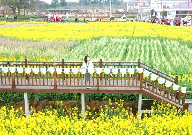 在这片希望的田野 带您“云体验”春的浪漫