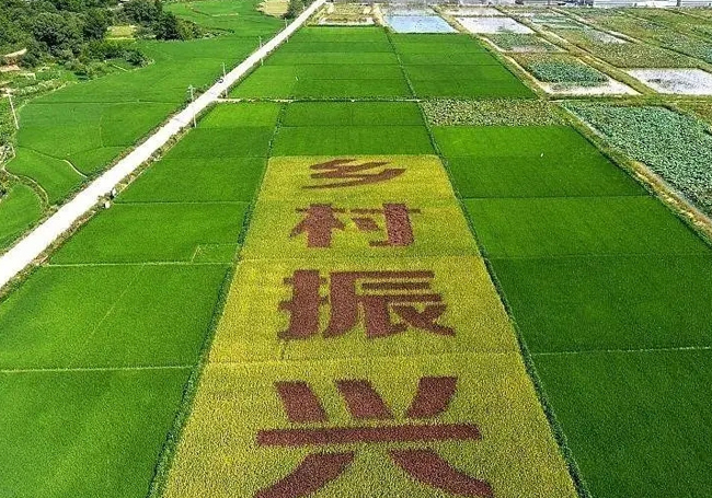 文化和旅游部等六部门印发《关于推动文化产业赋能乡村振兴的意见》