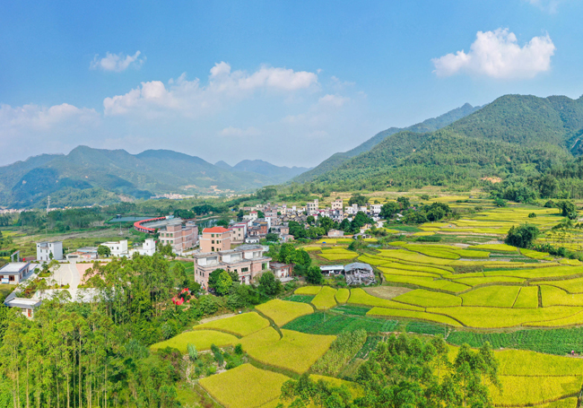 乡村振兴要把握好两个关键点